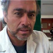 Profesor de historia ,geografia y educación cívica Bachillerato Internacional, PAES y ELE Español lengua extranjera